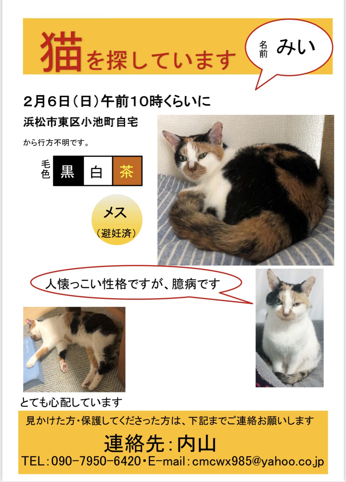 素晴らしい品質 ねこ様専用ページです