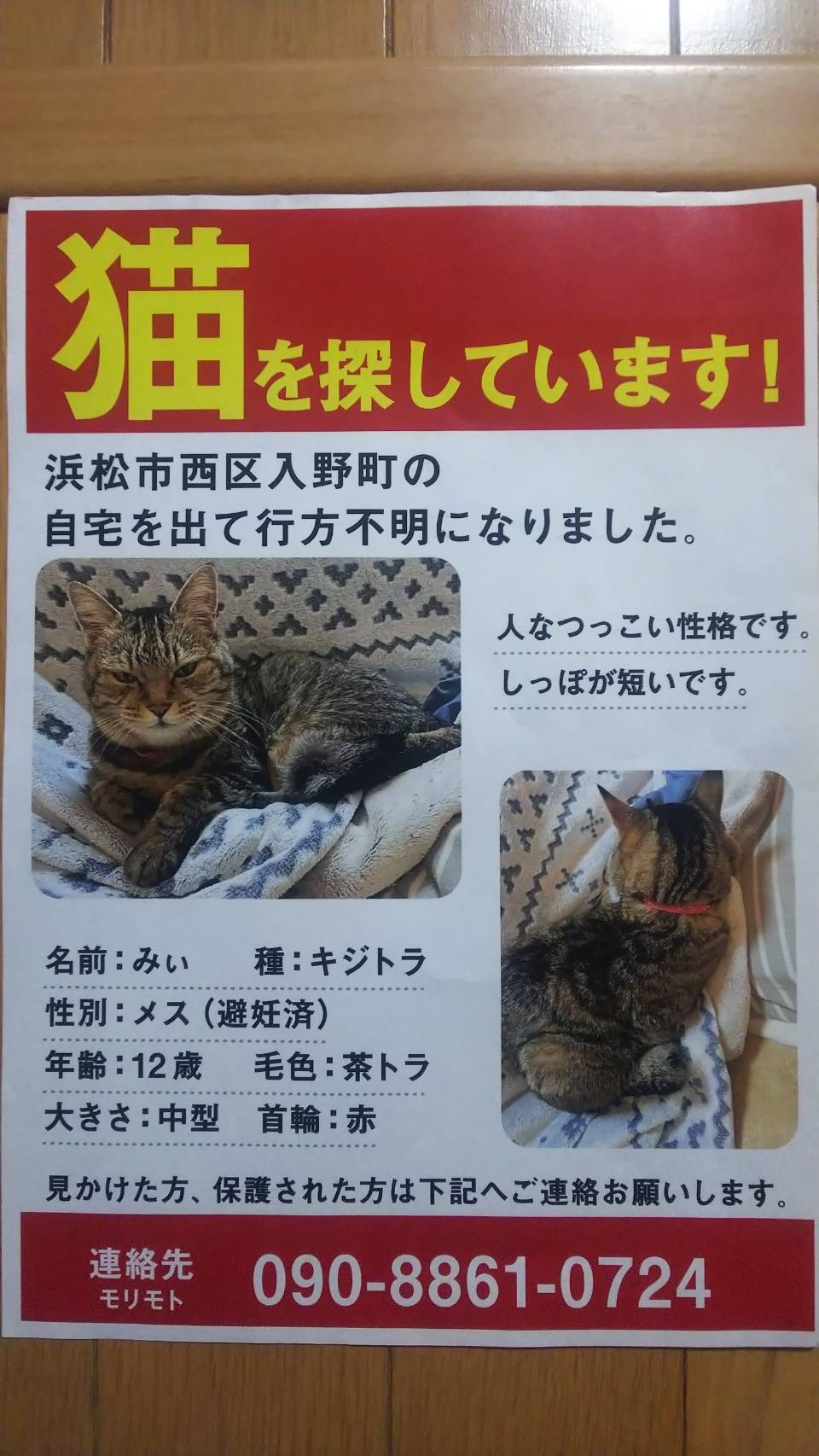 素晴らしい品質 ねこ様専用ページです