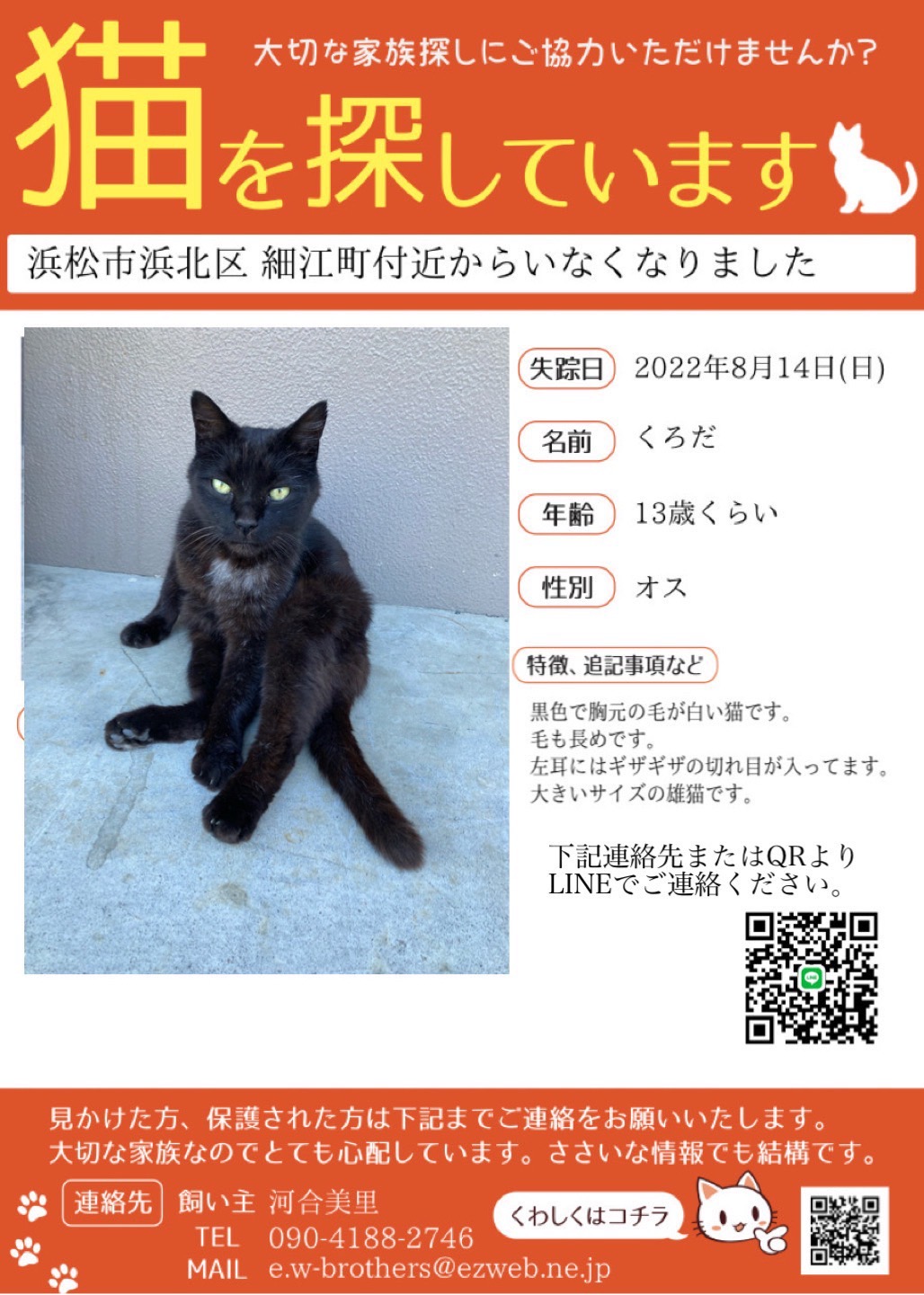 探しています 迷い猫 迷い犬情報 猫と暮らす会 静岡県浜松市を拠点とし 人と猫の共生をテーマに活動を行なっております 猫 の里親募集中 譲渡会も定期的に行っています